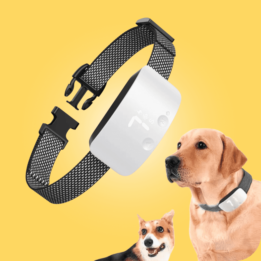 Dog Bark Collar